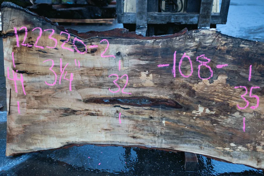 Big Leaf Maple Slab 122320-02