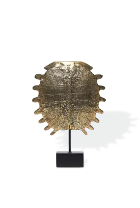 Bronze Turtle Shell