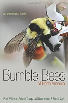 Bumblebees of North America