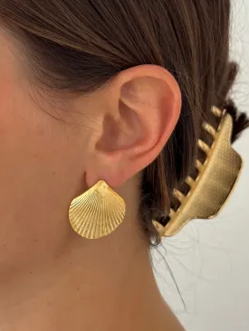 CALICO SHELL STUDS