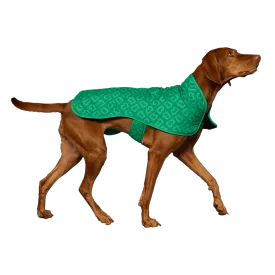 Dog Jacket Park Green