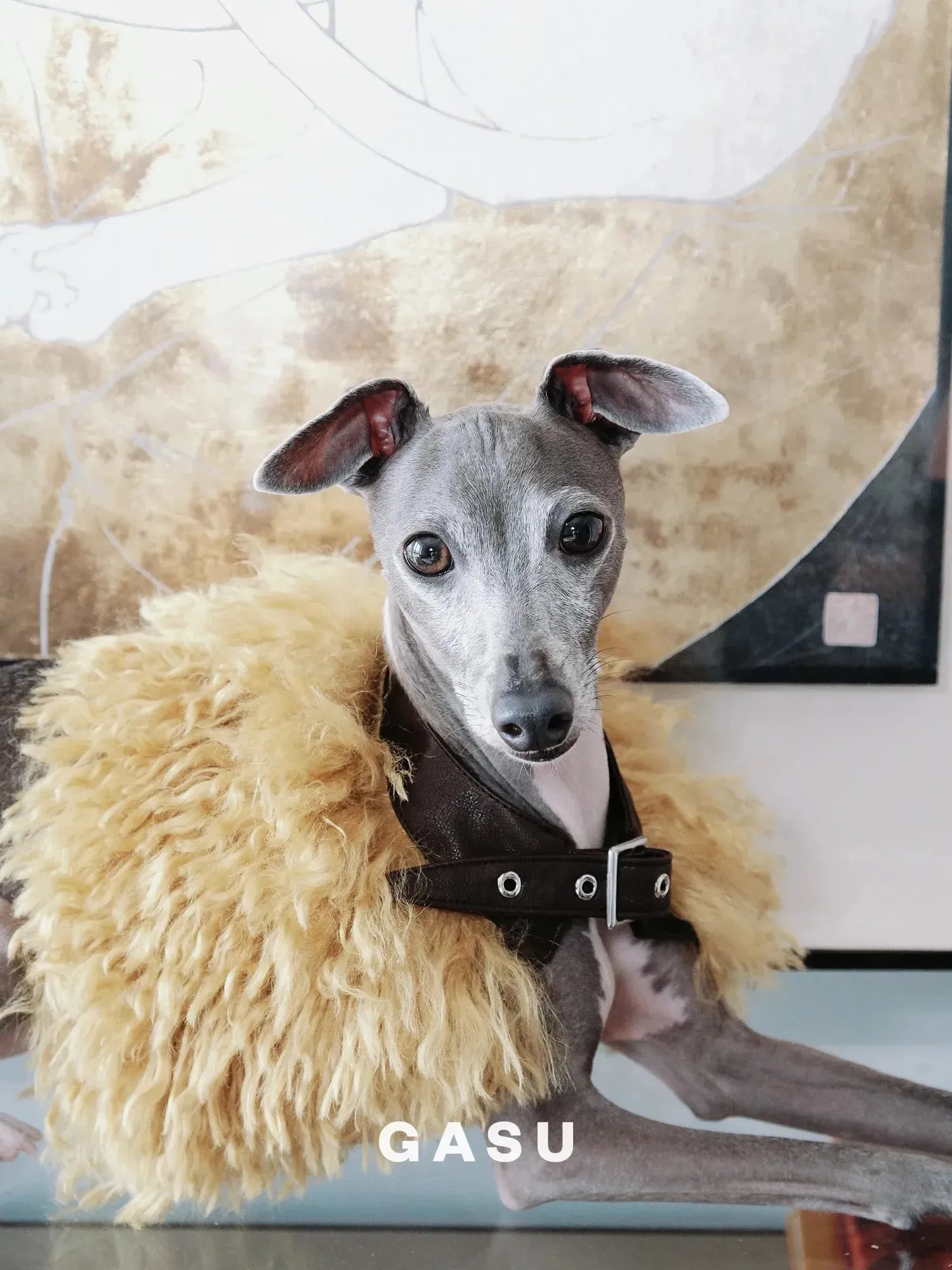 Handcrafted Faux Fur Leather Cloak