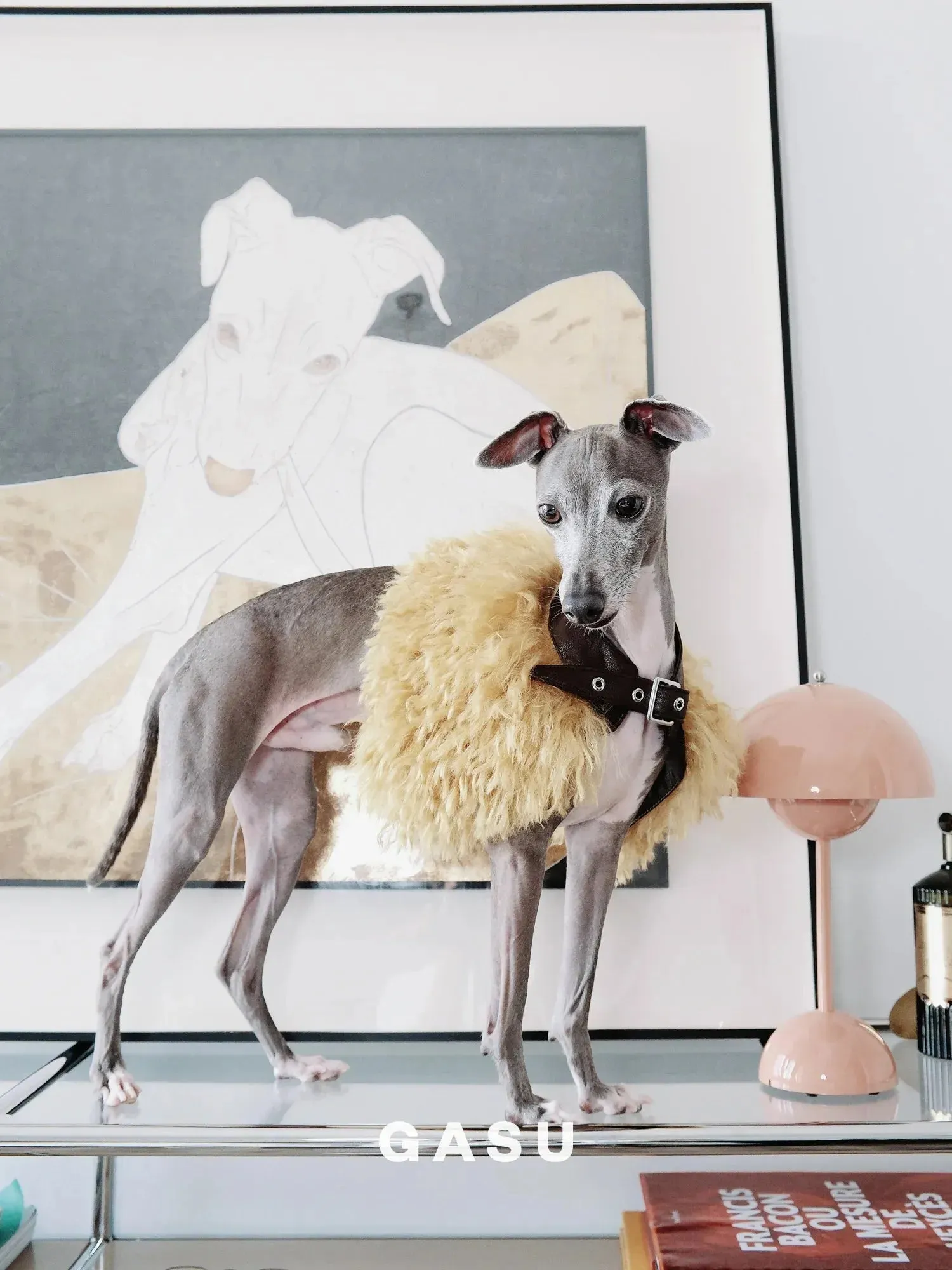 Handcrafted Faux Fur Leather Cloak