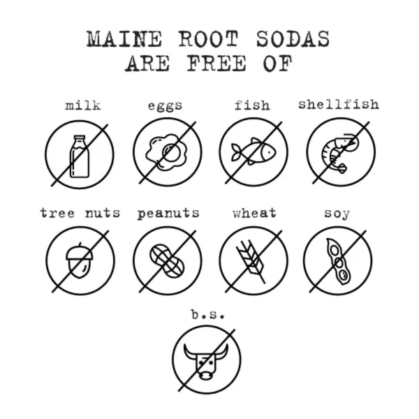 Maine Root Orange Soda - 24 / 12 oz btl