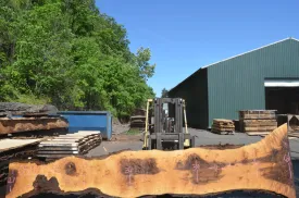 Oregon Black Walnut Slab 050720-12