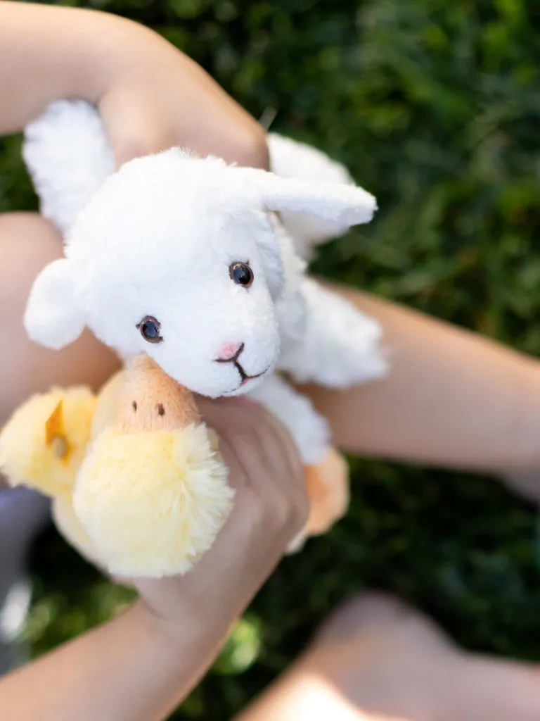 Plush Animals