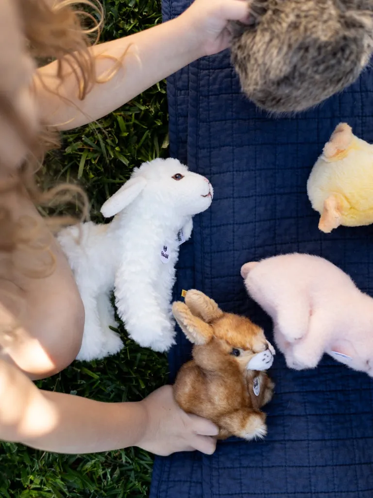 Plush Animals