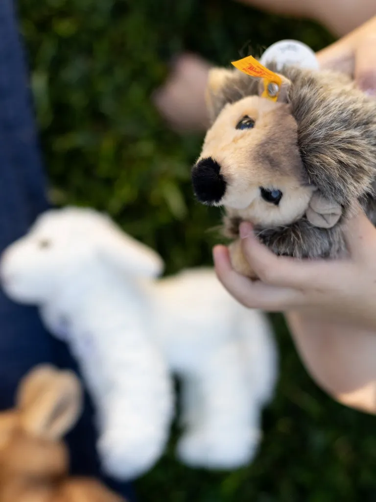 Plush Animals