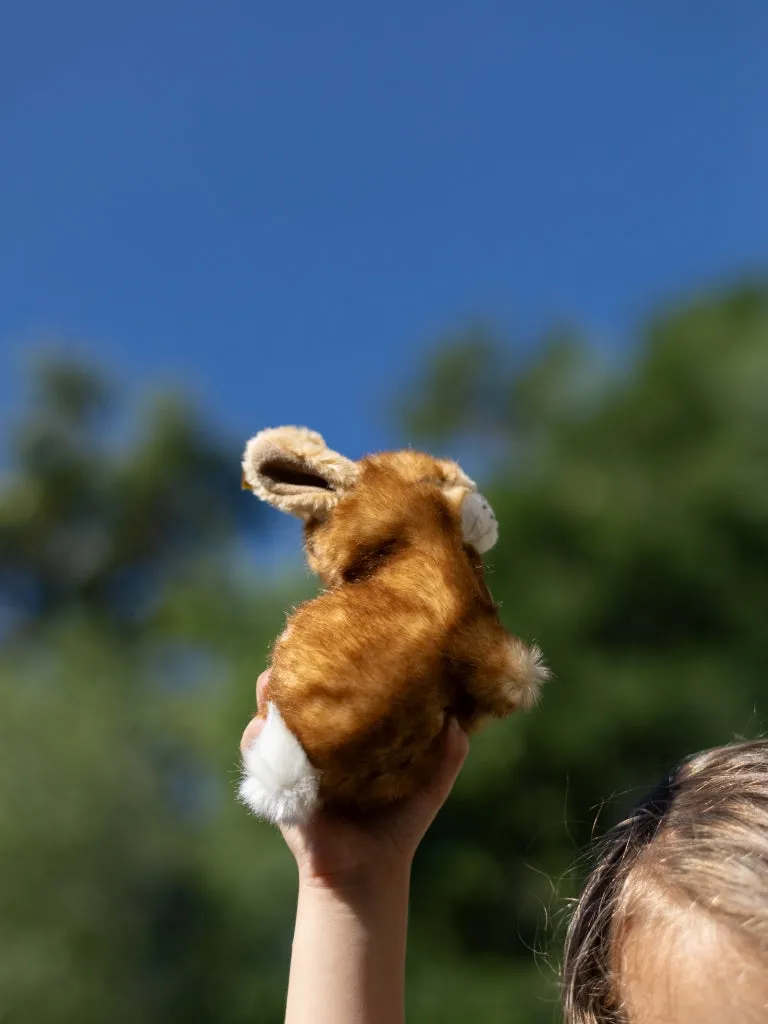 Plush Animals