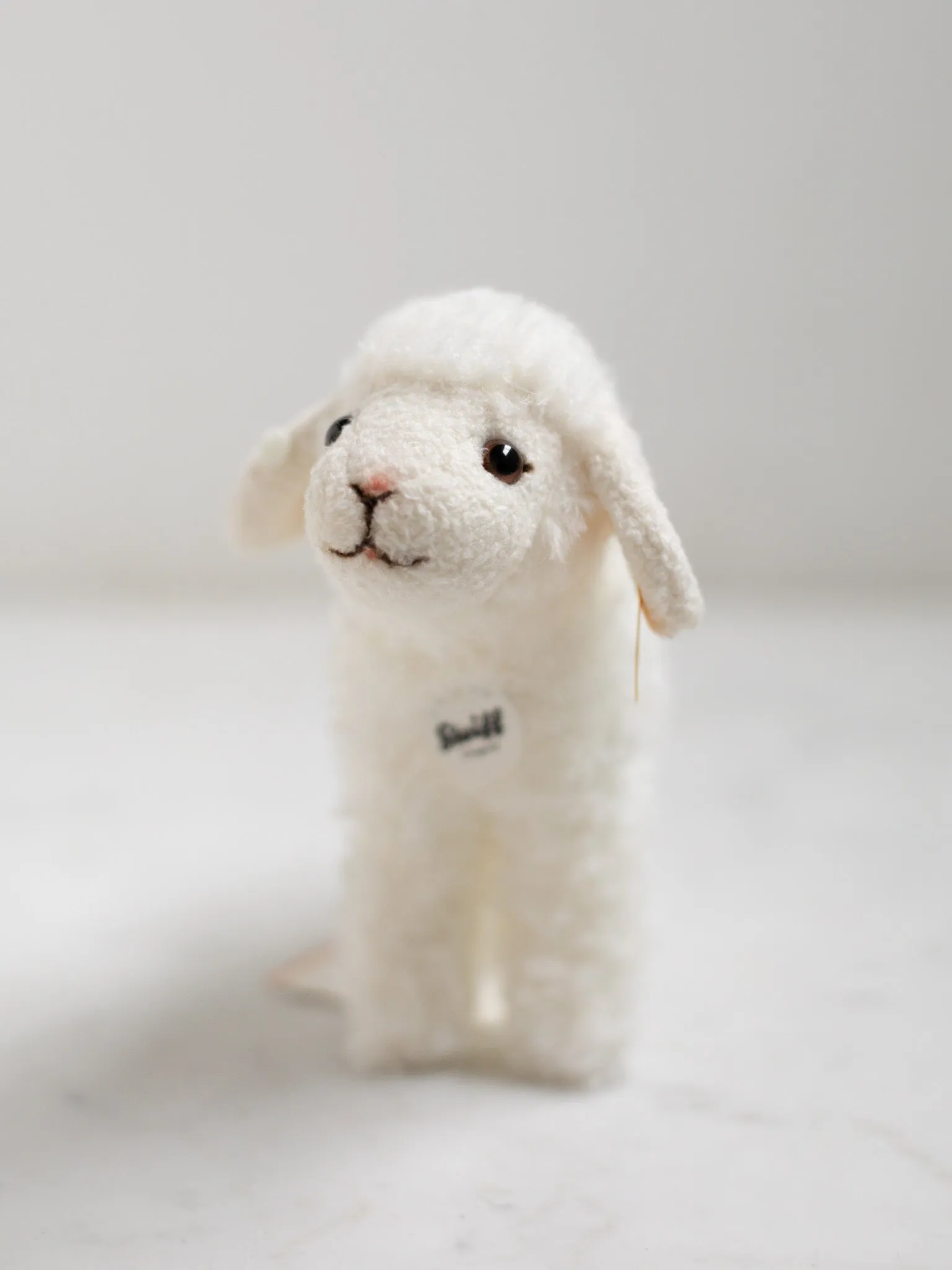 Plush Animals