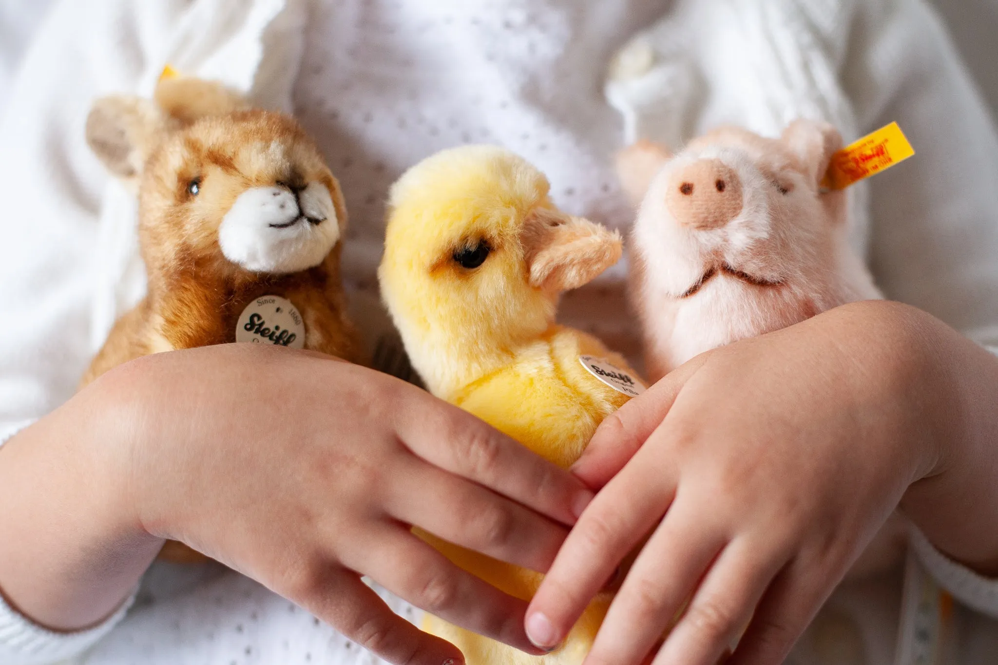 Plush Animals