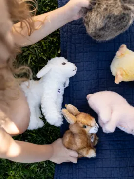 Plush Animals