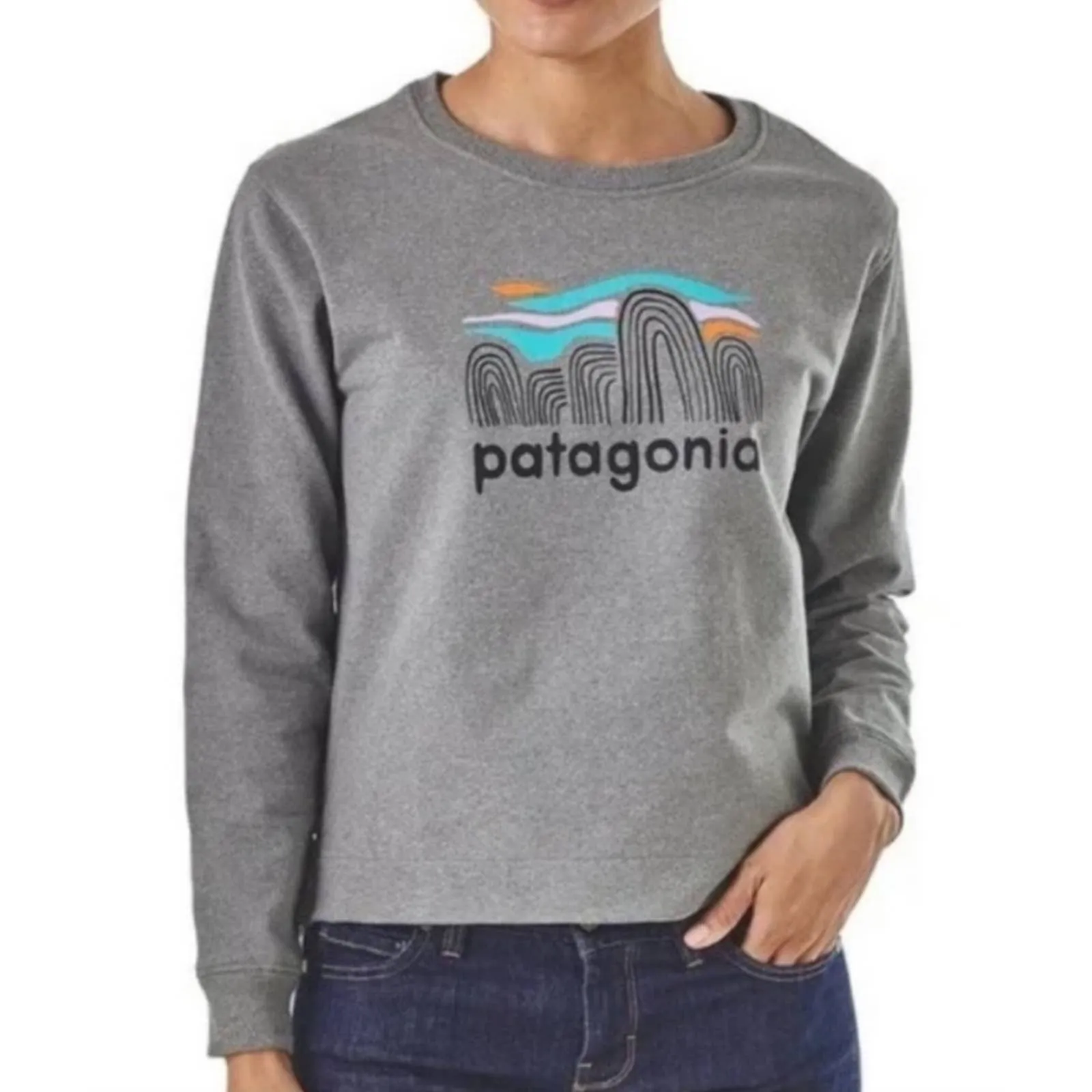 RARE Patagonia Fitz Roy Boulders Uprisal Crewneck Sweatshirt M