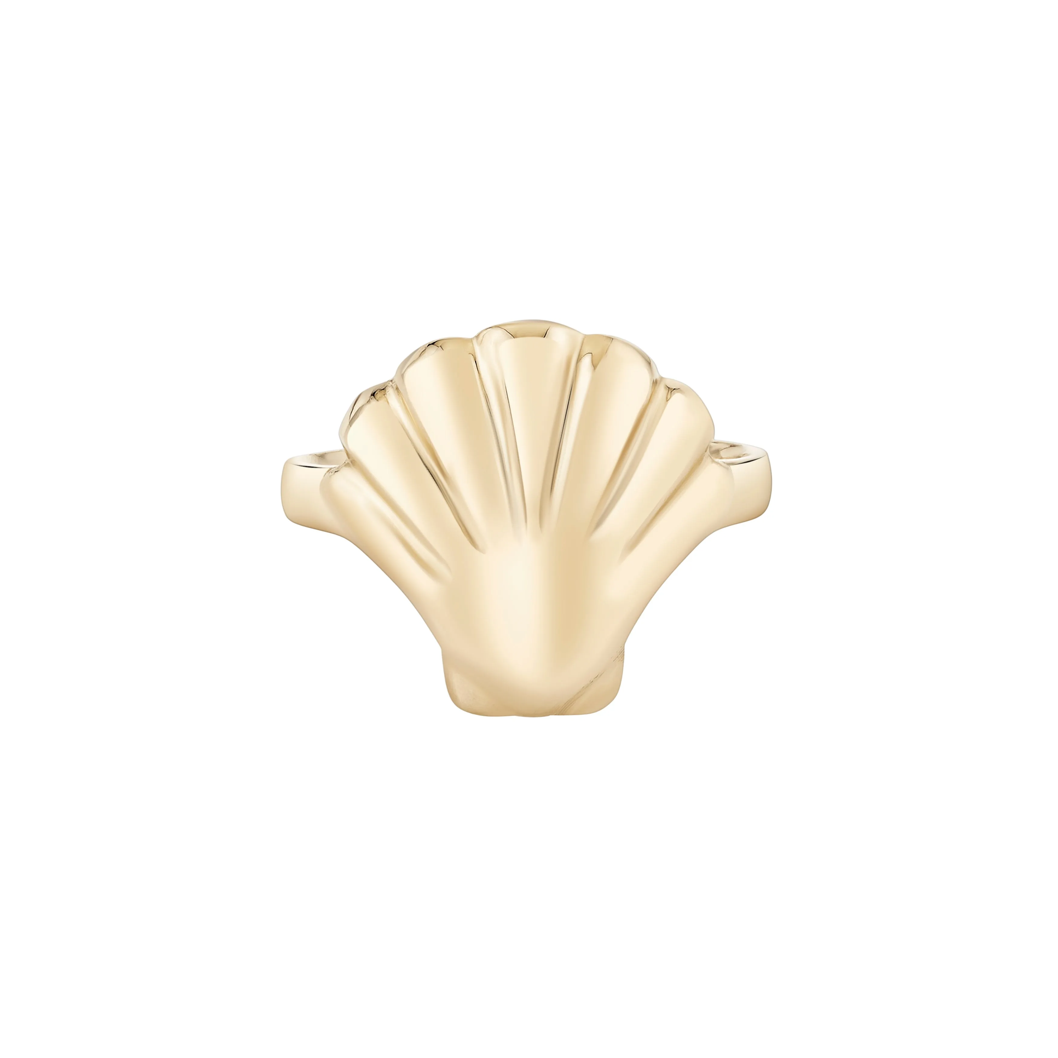 Scallop Shell Ring