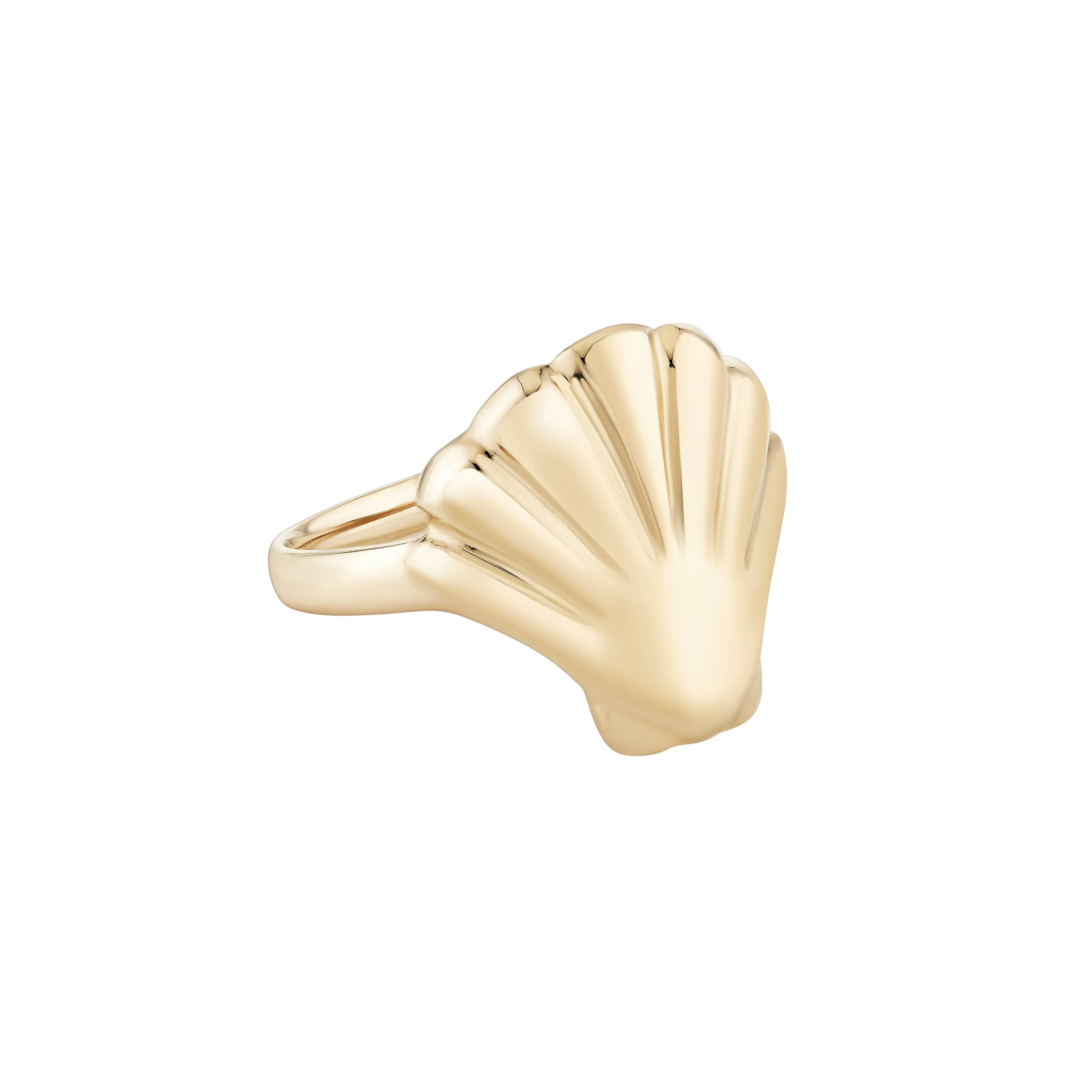 Scallop Shell Ring