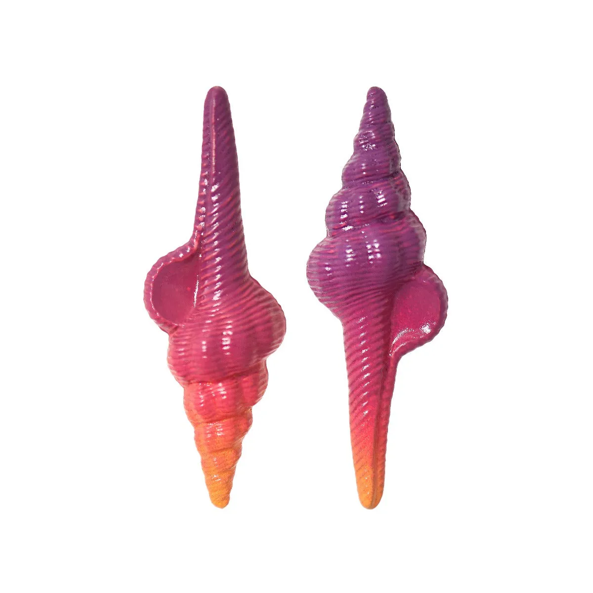 Sunset Shell Earrings