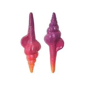 Sunset Shell Earrings
